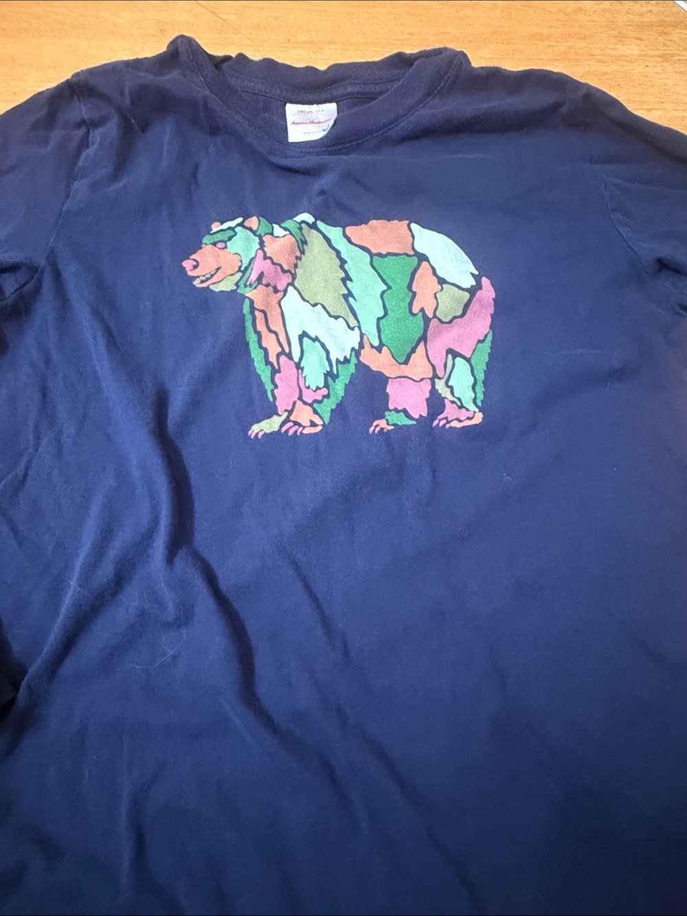 Hanna Andersson Navy Long Sleeve Tee with Colorful Patchwork Bear
